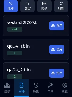 图 6　实机版本列表与“使用”按钮（已有界面复测截图）